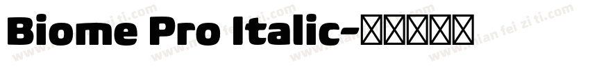 Biome Pro Italic字体转换